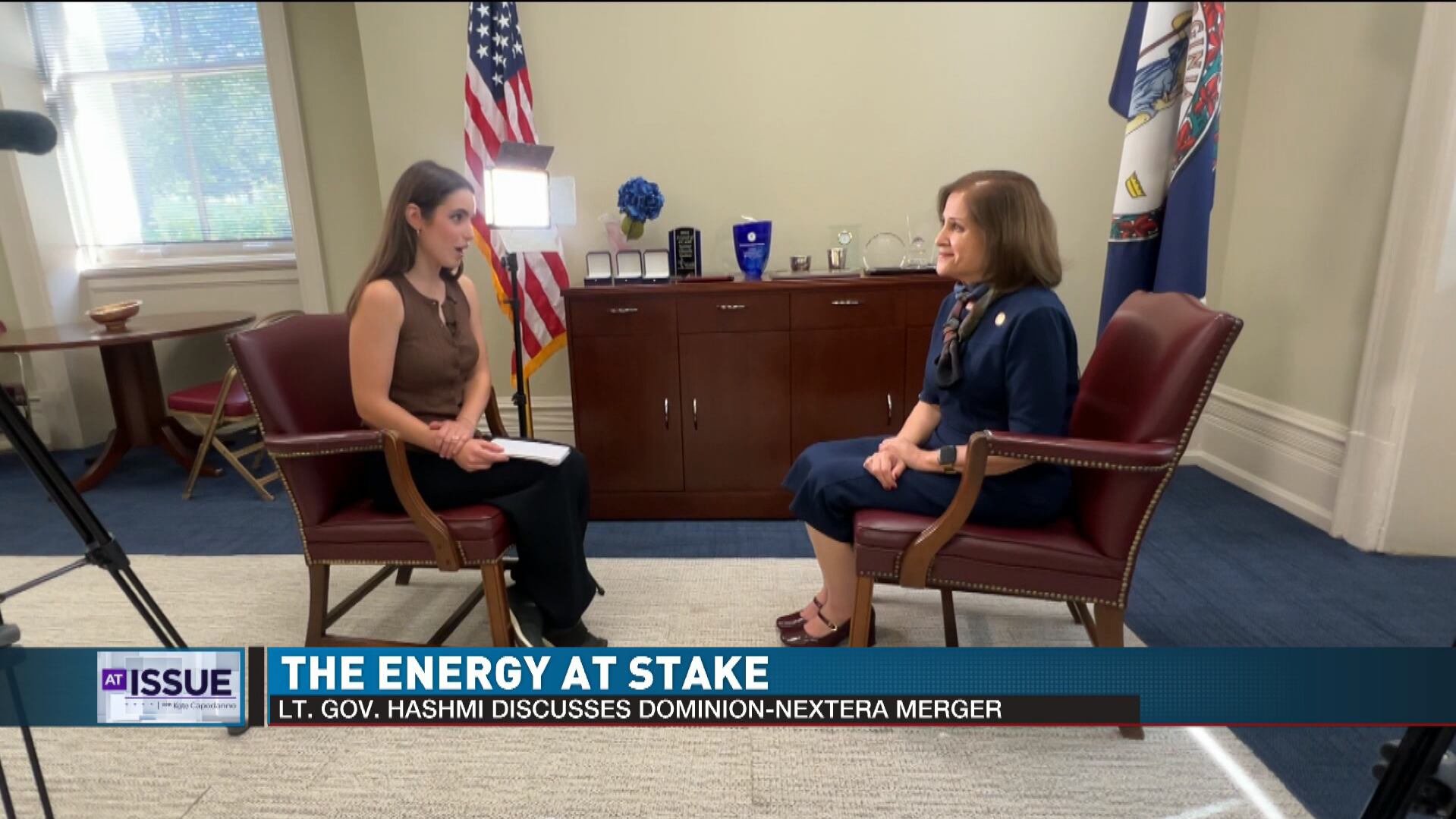 Dominion Energy and Next Era Energy Merger Sparks Public Concern in Roanoke-Lynchburg