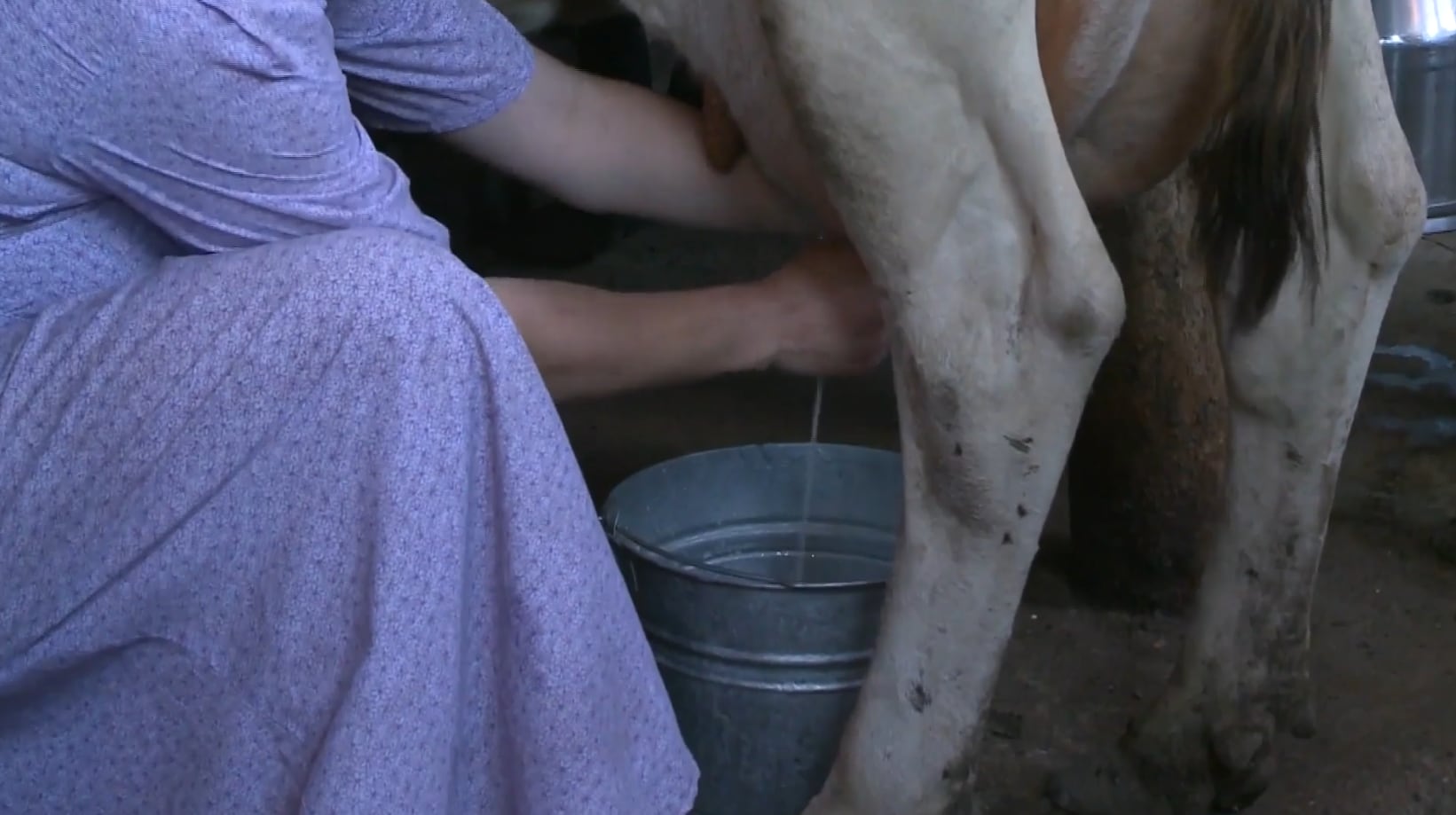 Roanoke Pediatricians Warn of Dangers of Unpasteurized Milk