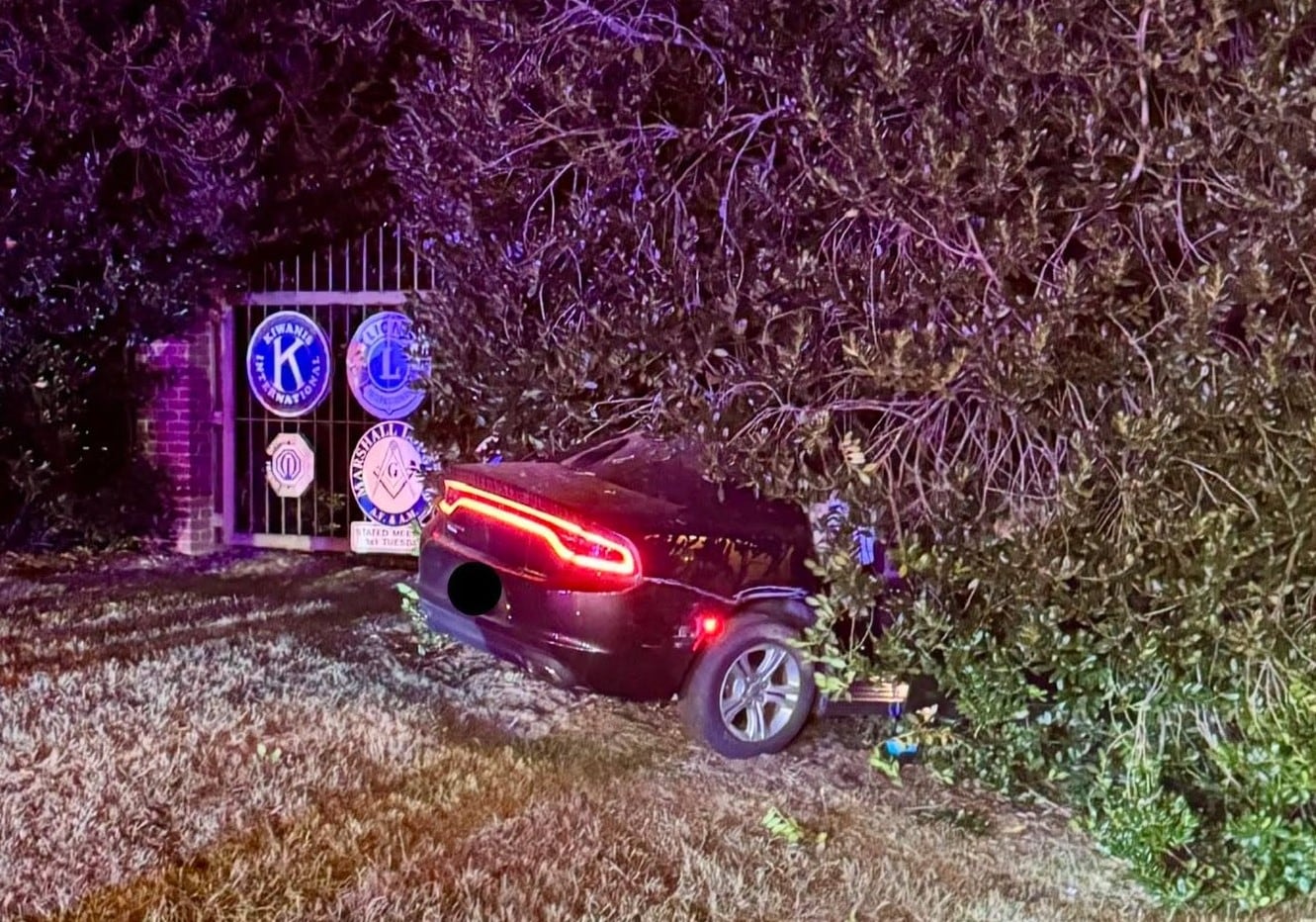One Injured in Vehicle Collision with Tree in Lynchburg