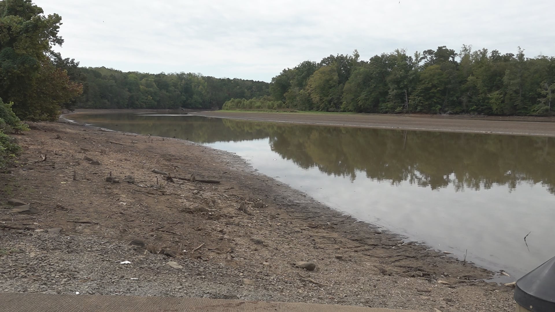 Hundreds of Fish Die in Banister River; FERC Investigates Dam’s Role