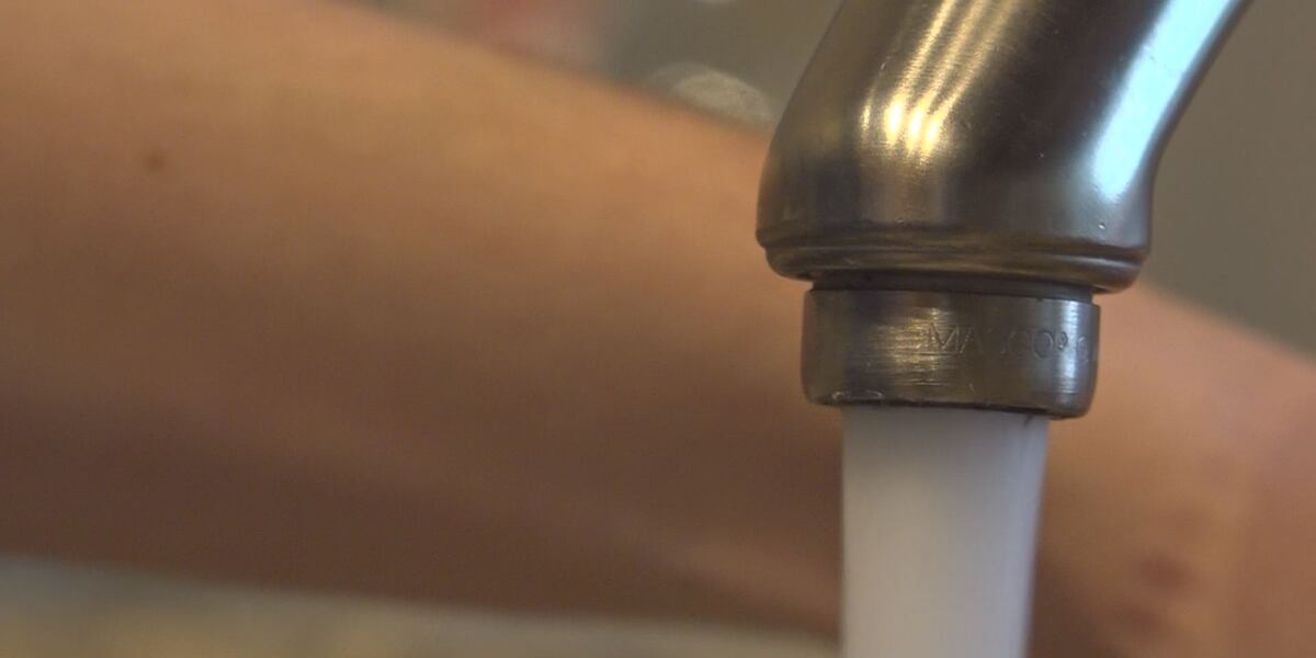 Musa Spring Water Muse Spring tapped again as Roanoke drinking water source