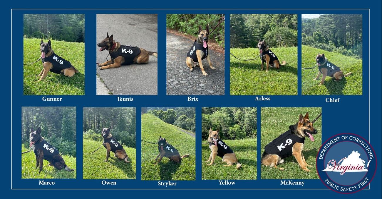 Vested Interest fetches protective vests for K9s