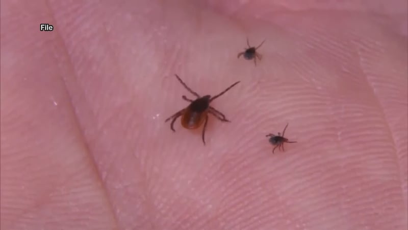 A Botetourt County man is sharing his experience with Ehrlichiosis