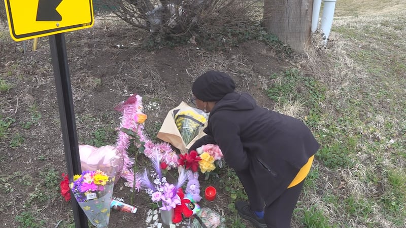A memorial of flowers, stuffed animals, and other items has been left at the corner in her honor.