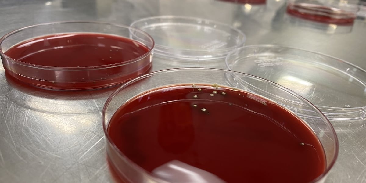 Trapped Germs Spreading Germs: How many bacteria are trapped by masks?