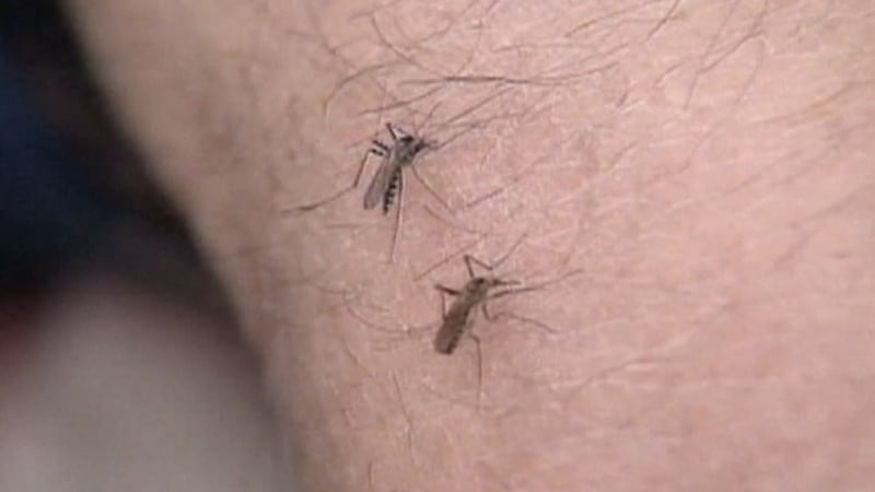 As millions prepare to celebrate the Fourth of July, health officials are urging the public to...
