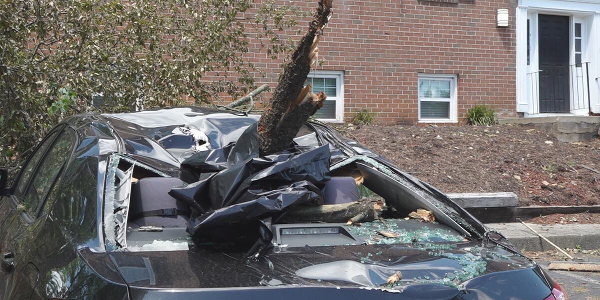 WDBJ7 feature on navigating insurance claims and avoiding scams after Southwest Virginia storms