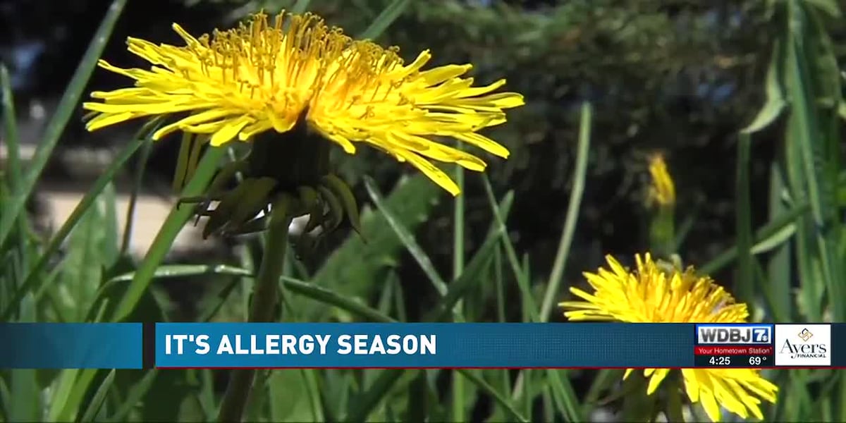 Spring Va Fall Allergy Spring allergy season is in its peak