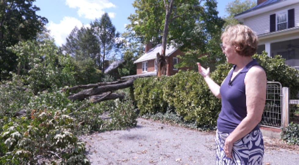 Anna-Lisa Fitzgerald points to a downed tree outside her home in Lexington, Va.