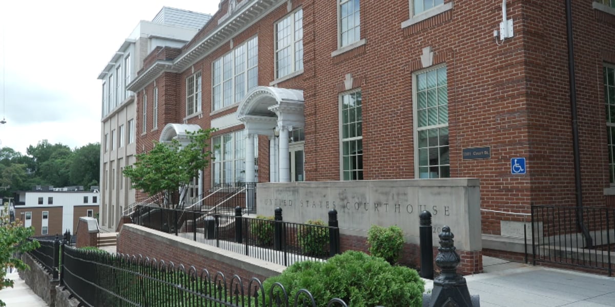 Lynchburg judge mandates 5-year-old’s return to Turkey in global custody battle Lynchburg judge mandates 5-year-old’s return to Turkey in global custody battle
