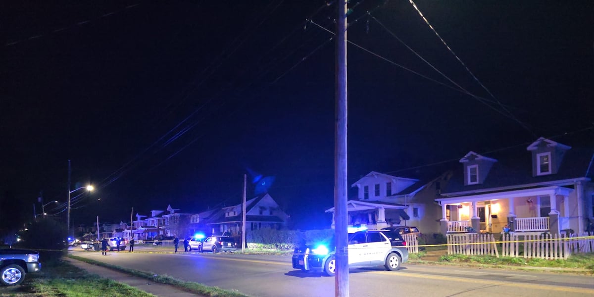 Large police response in Roanoke's Northwest neighborhood