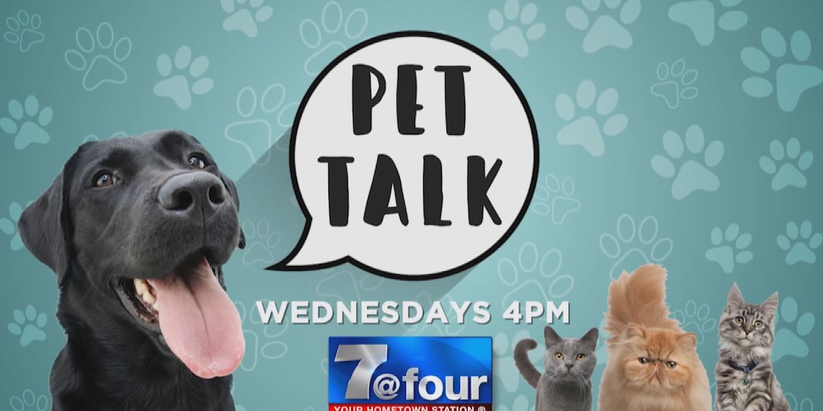 Pet Talk addresses conflict between you and your pets