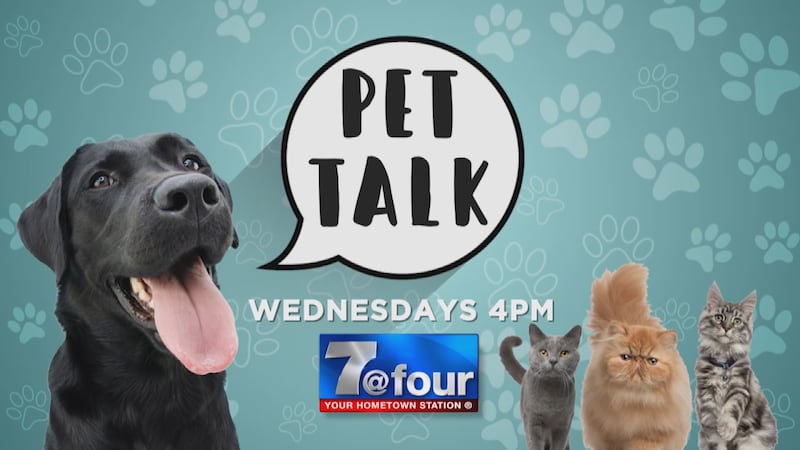 Pet Talk happens every Wednesday during 7 @ 4.