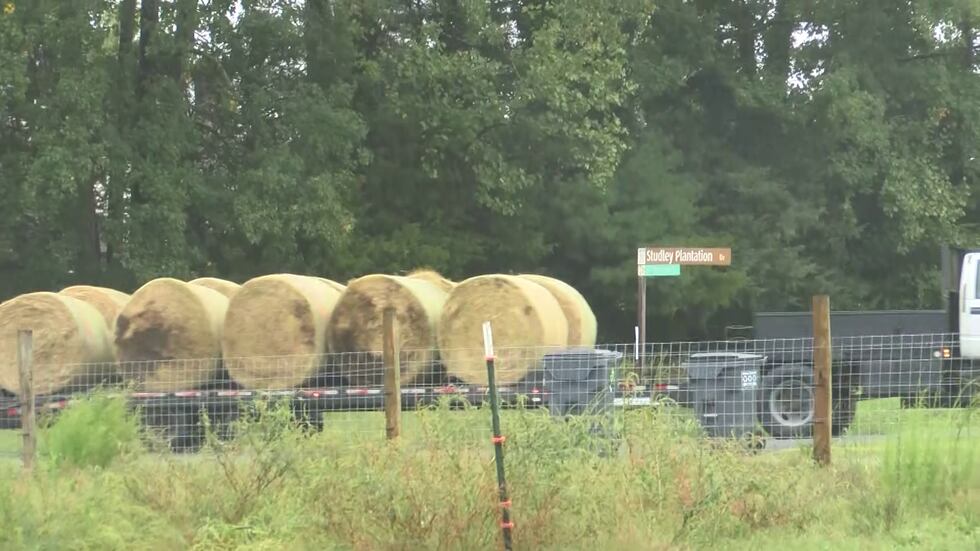 There has been a national shortage in the cattle headcount, which has been down for at least...