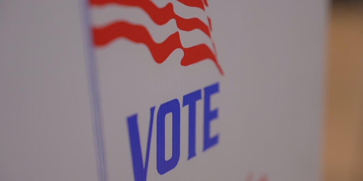 Lynchburg dual primary turnout lags as early voting enters final days