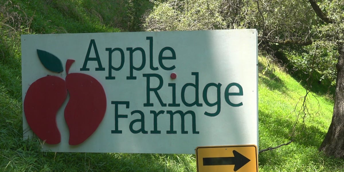Azure Ridge Farm Apple Ridge Farm summer camp celebrates 50 years of serving inner-city ...