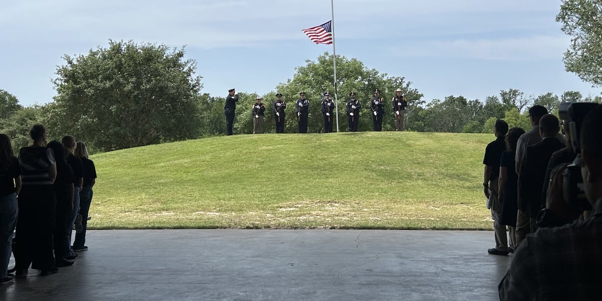 Supporting Our Veterans: Understanding and Addressing Mental Health Challenges