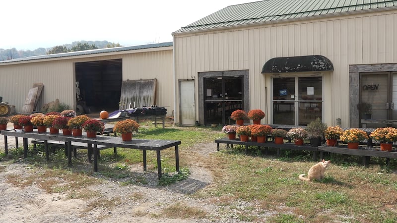 Woods Farm Closing due to rising prices
