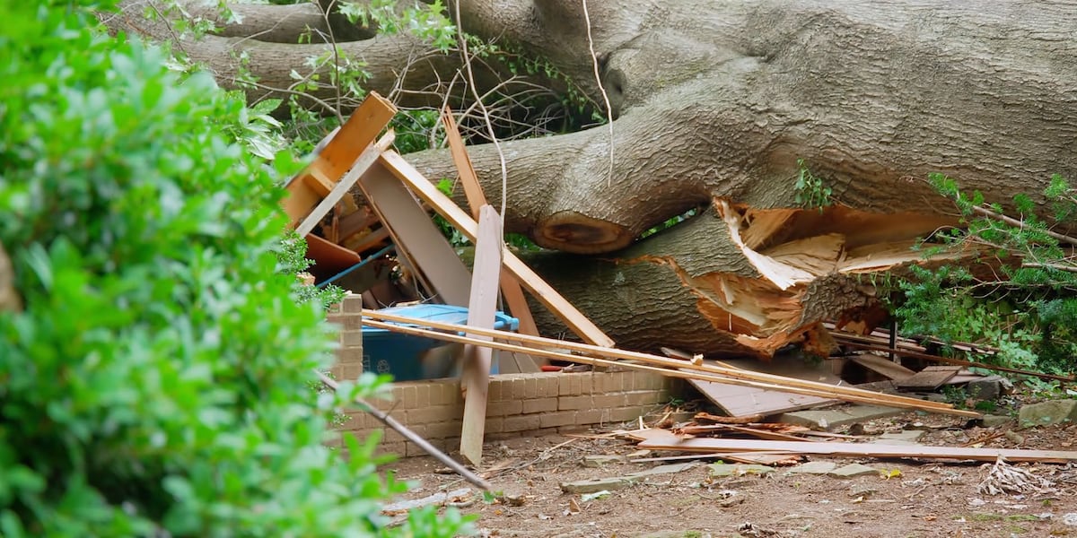 Storm uproots tree, damages Roanoke couple's home
