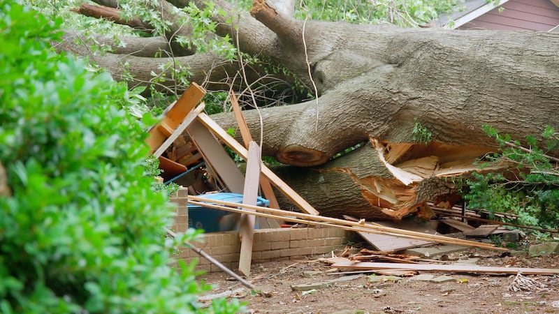 The storm left a local couple with a surprise before their vacation.
