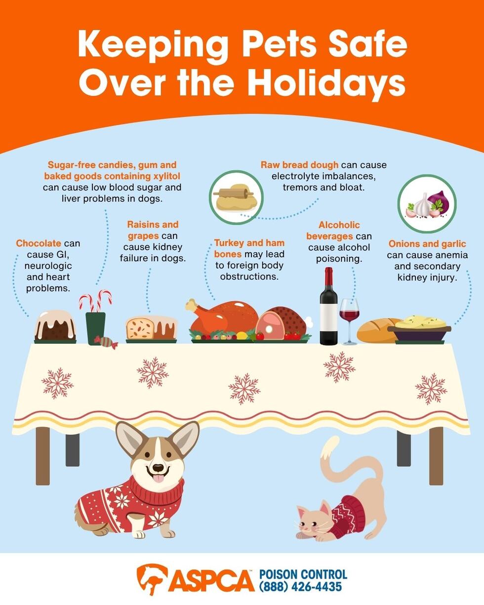 Thanksgiving Pet Safety