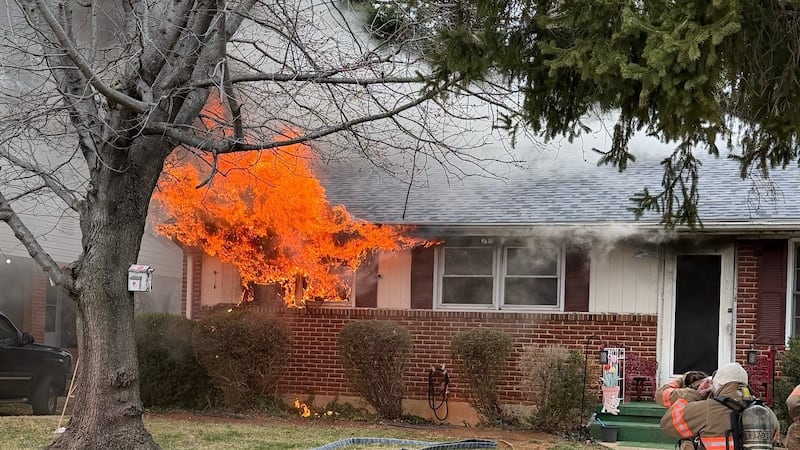 Roanoke house fire