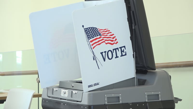Election Day is around the corner for the midterms and people are early voting in droves.