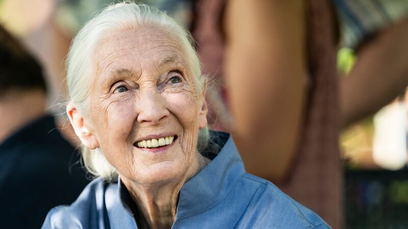 Dr. Jane Goodall looks on and smiles before speaking at the University of Montana President's...