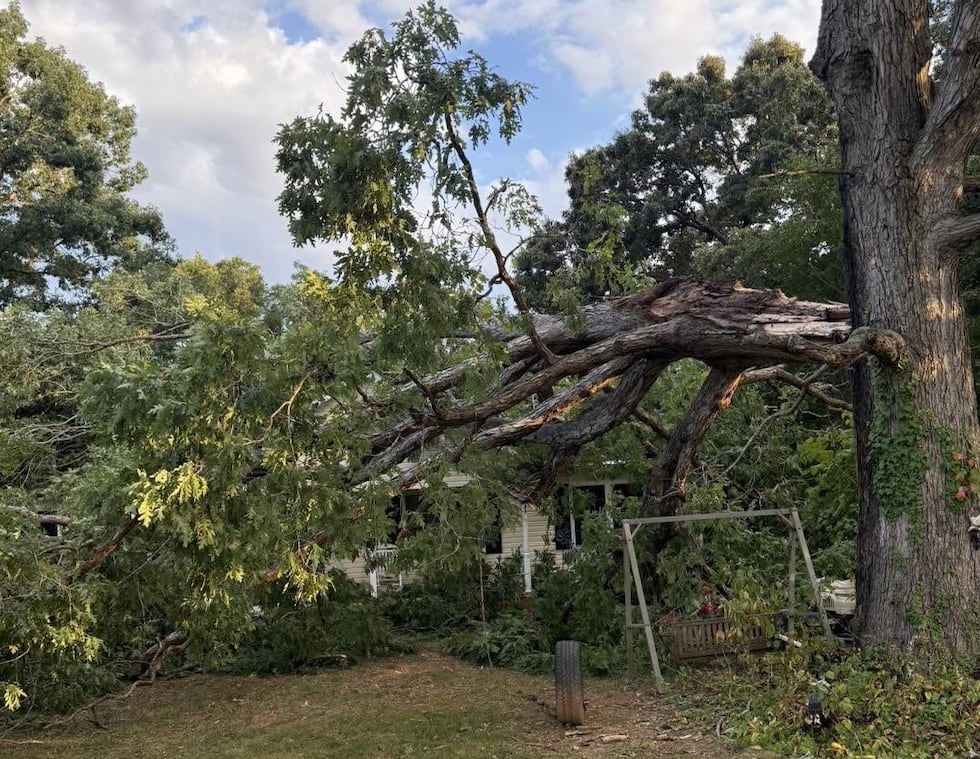 Crews said they responded at 6:26 p.m. Sept. 9 to a report of a tree that fell into a home.