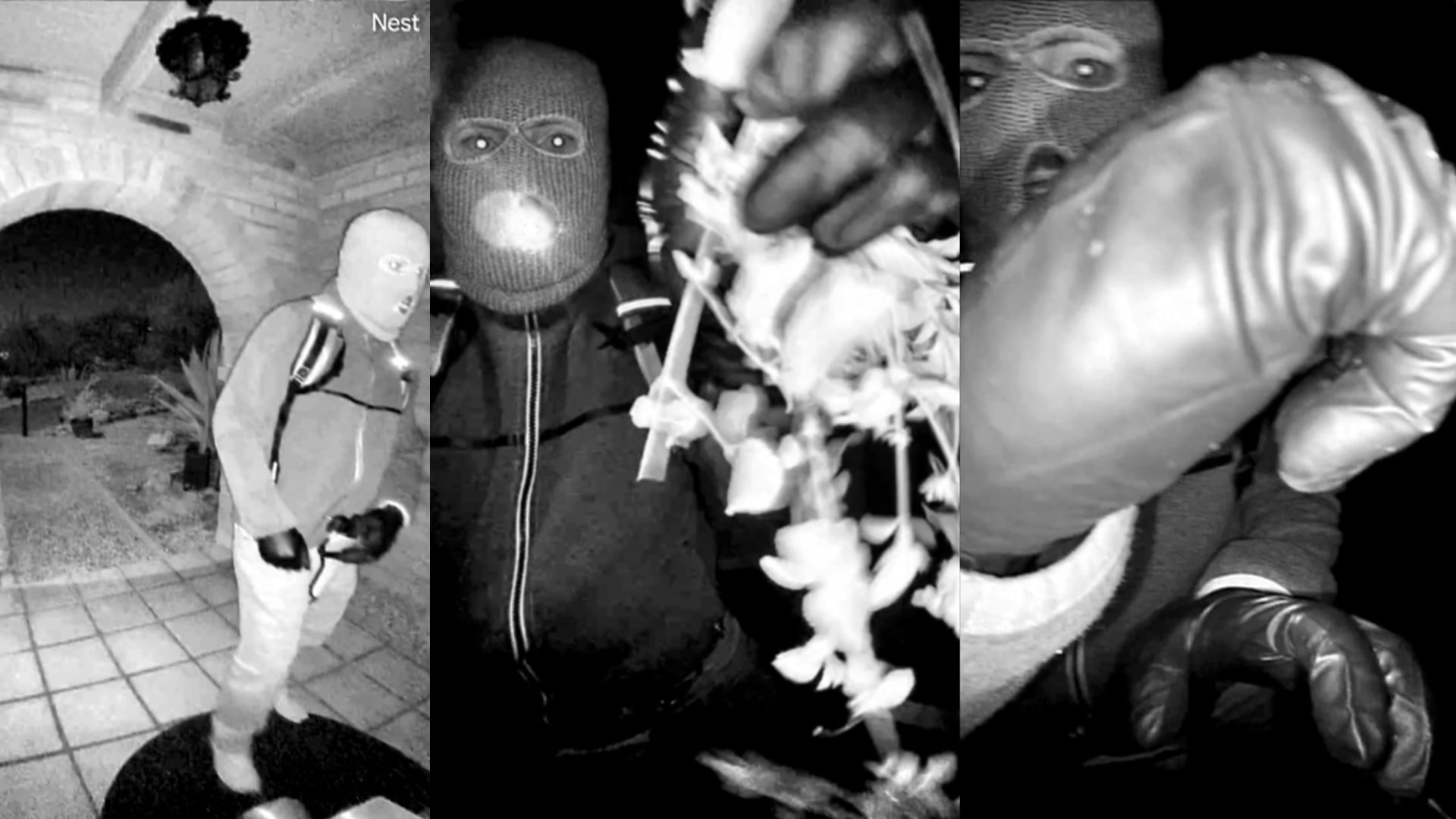 DNA recovered from glove appears to be linked to suspect in Nancy Guthrie disappearance , FBI says