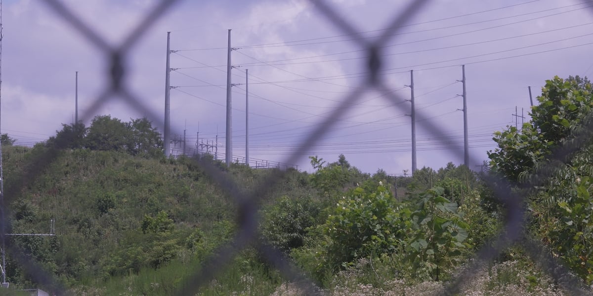 Campbell County supervisors to discuss zoning change that would allow small nuclear reactors