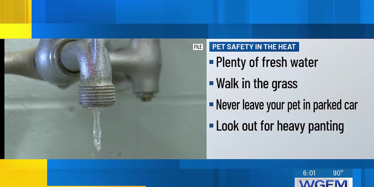 With increasing temperatures, veterinarians are urging residents to keep pets’ safety in mind
