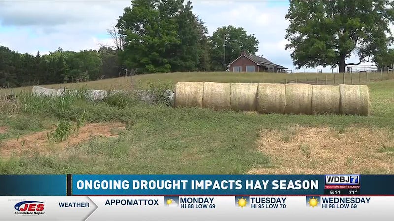 Drought Impacts Hay Season