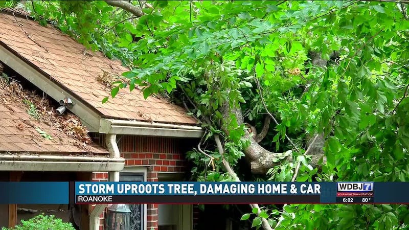 Storm Uproots Tree, Damages Roanoke Couple’s Home